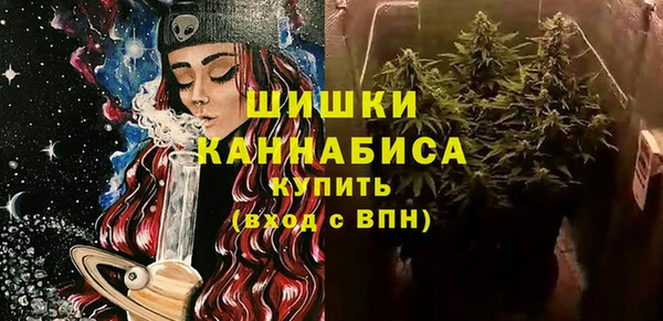 ПСИЛОЦИБИНОВЫЕ ГРИБЫ Алексин