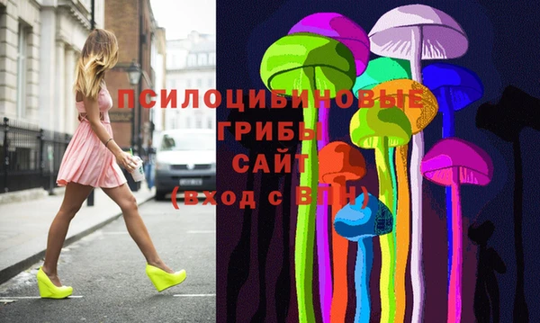 ПСИЛОЦИБИНОВЫЕ ГРИБЫ Алексин