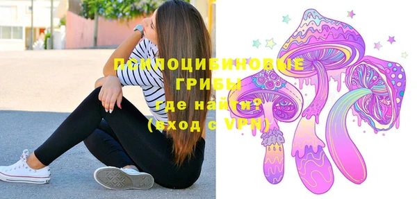 ПСИЛОЦИБИНОВЫЕ ГРИБЫ Алексин