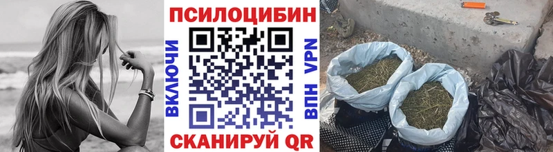 ссылка на мегу онион  Саранск  Псилоцибиновые грибы GOLDEN TEACHER 